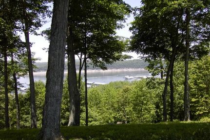 Timberland Property in Wayne County, Kentucky