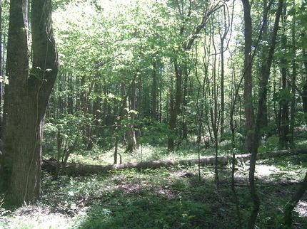 Farm and Ranch in Lauderdale County, Alabama