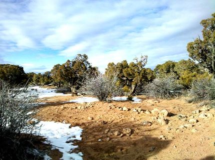 Timberland Property in Duchesne County, Utah