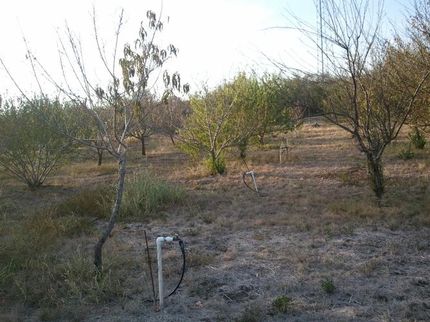 Farm and Ranch in Uvalde County, Texas