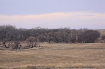 Farm and Ranch in Rawlins County, Kansas