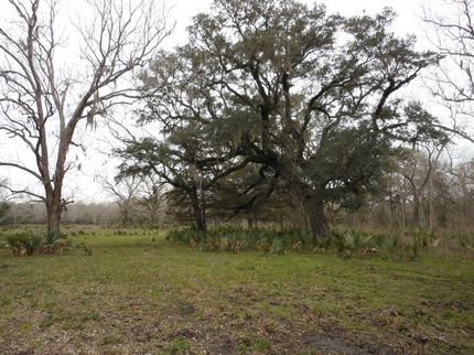Farm and Ranch in Matagorda County, Texas