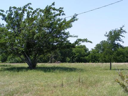 Farm and Ranch in Hill County, Texas