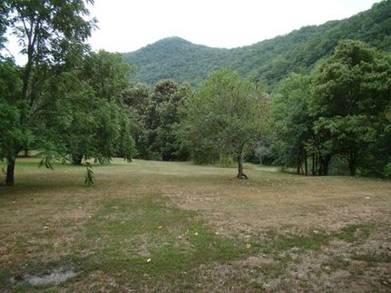 Land in Alleghany County, Virginia