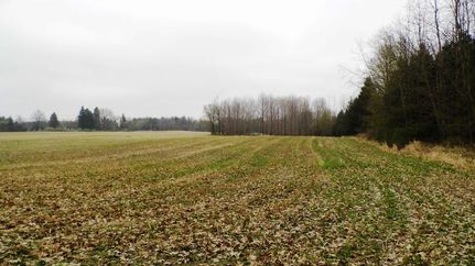 Farm and Ranch in Lapeer County, Michigan