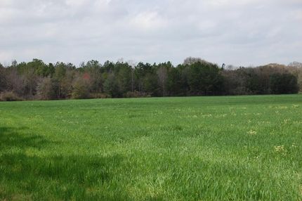 Farm and Ranch in Worth County, Georgia