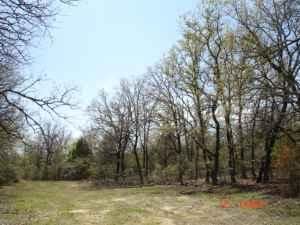 Farm and Ranch in Leon County, Texas