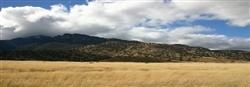 Farm and Ranch in Mohave County, Arizona