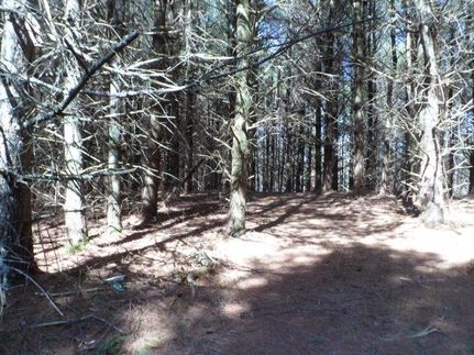 Land in Carroll County, Virginia