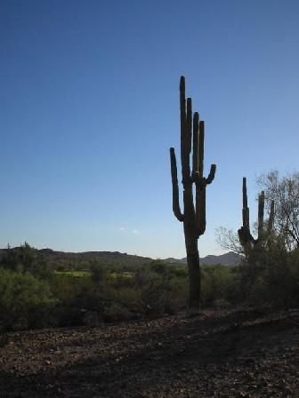 Farm and Ranch in Mohave County, Arizona
