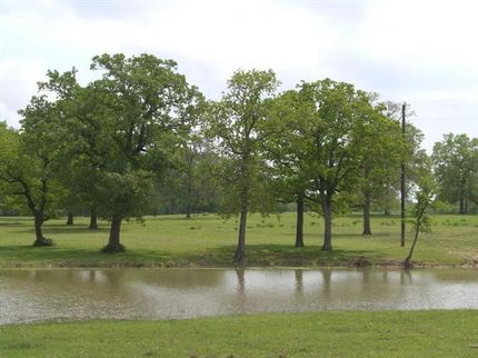Farm and Ranch in Burleson County, Texas