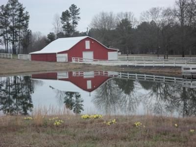 Farm and Ranch in Morgan County, Alabama