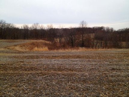 Farm and Ranch in Adams County, Illinois