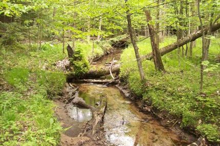 Farm and Ranch in Newaygo County, Michigan
