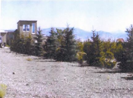 Commercial Property in Saguache County, Colorado