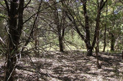 Land in Bosque County, Texas