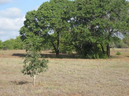 Farm and Ranch in Caldwell County, Texas