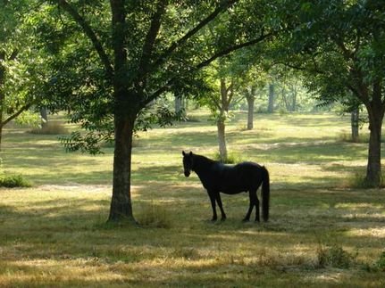 Farm and Ranch in Russell County, Alabama