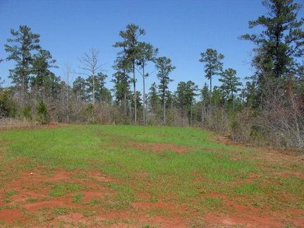Farm and Ranch in Monroe County, Alabama