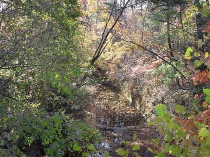 Farm and Ranch in Wilcox County, Alabama