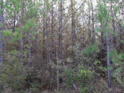 Farm and Ranch in Monroe County, Alabama