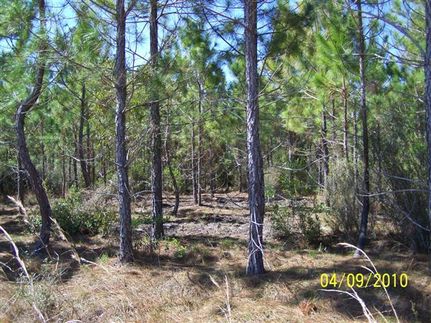 Land in Taylor County, Florida