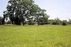 Farm and Ranch in Austin County, Texas
