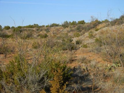 Farm and Ranch in Mitchell County, Texas