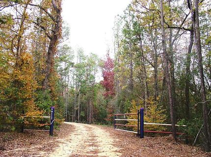 Farm and Ranch in San Jacinto County, Texas