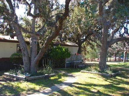 Timberland Property in Real County, Texas