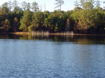 Farm and Ranch in Montgomery County, Alabama