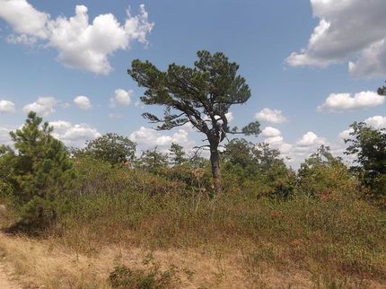 Farm and Ranch in Pushmataha County, Oklahoma