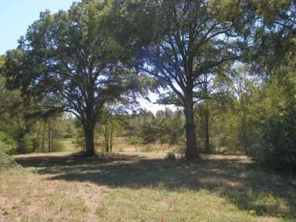 Farm and Ranch in Calhoun County, Georgia