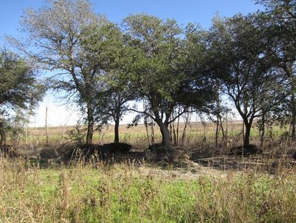 Farm and Ranch in Dallas County, Texas