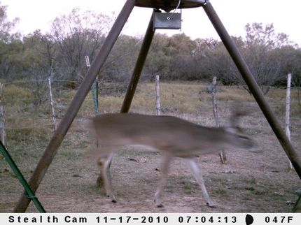 Farm and Ranch in Eastland County, Texas