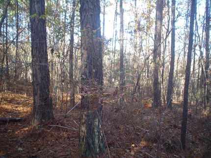 Farm and Ranch in Chesterfield County, South Carolina