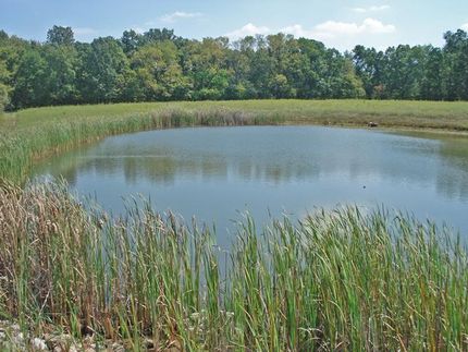 Farm and Ranch in Hamilton County, Illinois