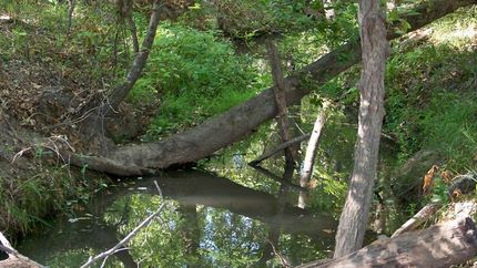 Farm and Ranch in Henderson County, Texas