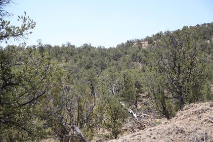 Farm and Ranch in Yavapai County, Arizona