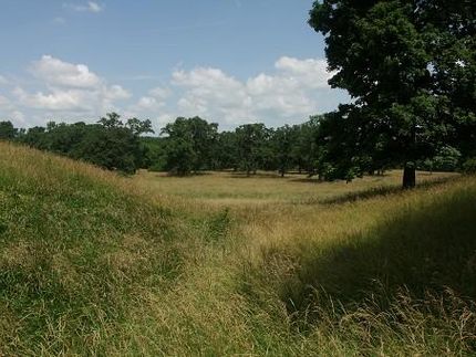 Farm and Ranch in Bureau County, Illinois