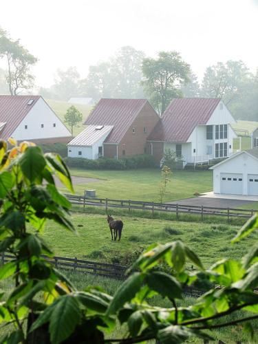Farm and Ranch in Highland County, Virginia