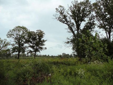 Farm and Ranch in Davidson County, Tennessee