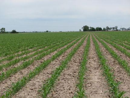 Land in Dawson County, Nebraska