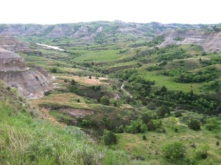 Farm and Ranch in Dunn County, North Dakota