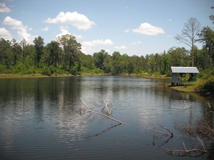 Farm and Ranch in Crawford County, Georgia