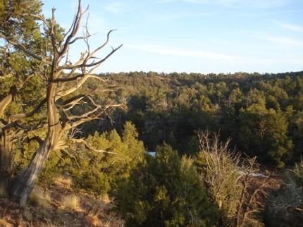 Land in Yavapai County, Arizona