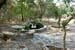 Undeveloped Land in Bell County, Texas