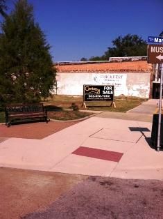 Undeveloped Land in Camp County, Texas