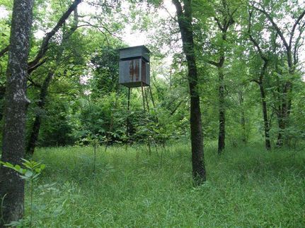 Land in Red River County, Texas