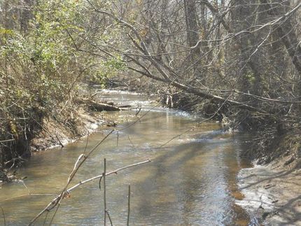 Farm and Ranch in Chambers County, Alabama